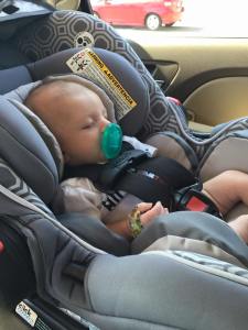 11217571_10204797247397275_4060431624878392138_n